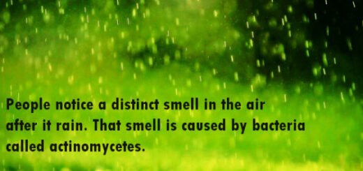 Weird facts and strange facts
