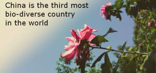 facts about china