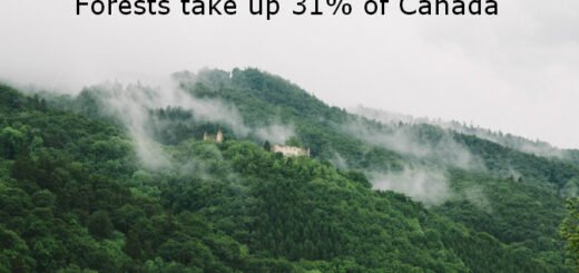 facts about canada