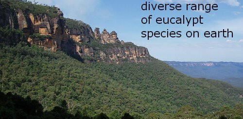 facts about Australia