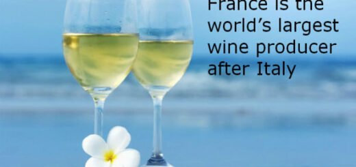 facts about france
