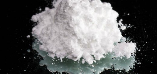 cocaine facts