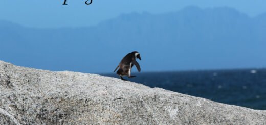 penguin facts