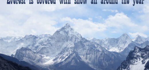 mount everest facts