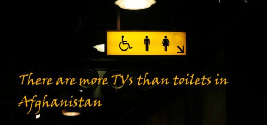 toilet facts