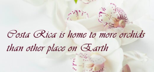 costa rica facts