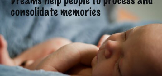 dream facts