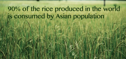 asia facts