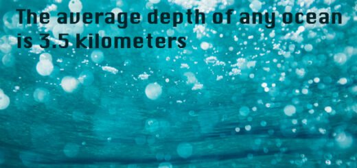 ocean facts