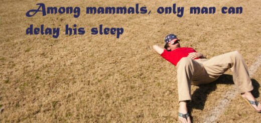sleep facts