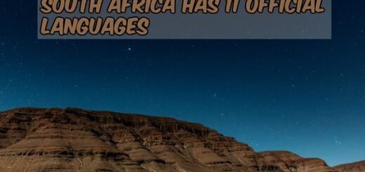 south africa facts