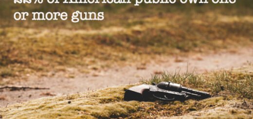 gun control facts