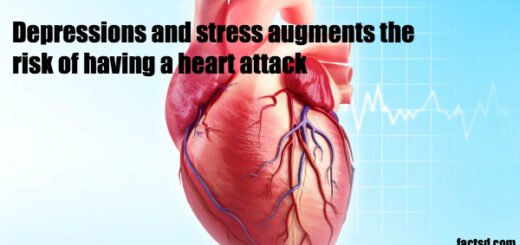 heart facts