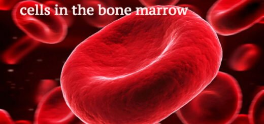 blood facts