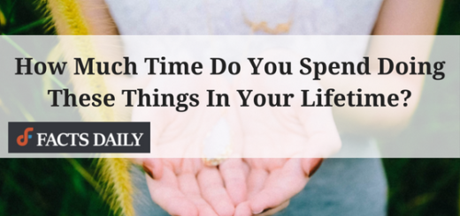 how much time people spend doing daily activities in their life - hands holding jewel
