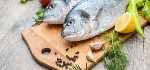 About-Fish-feat