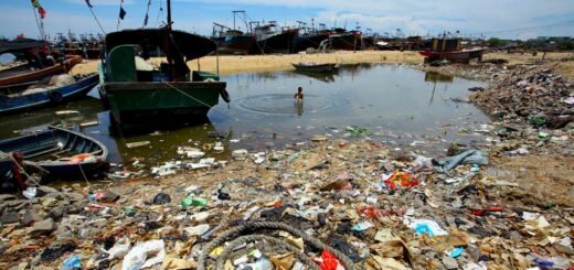 photo of a boat on a polluted lake