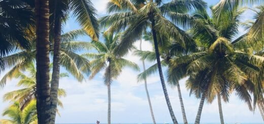 people walk golden beach with palms before turquoise water
