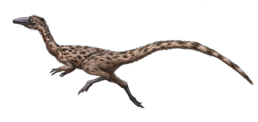 Massachusetts Dinosaur