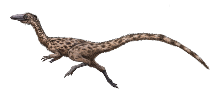 Massachusetts Dinosaur